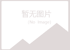 偃师夏青采矿有限公司